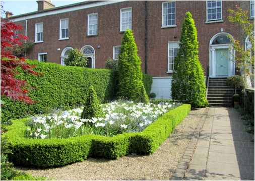 Wellington Garden 3